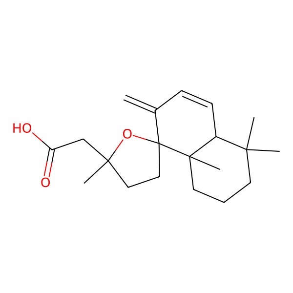 2D Structure of 2-(2',4,4,8a-Tetramethyl-7-methylidenespiro[1,2,3,4a-tetrahydronaphthalene-8,5'-oxolane]-2'-yl)acetic acid