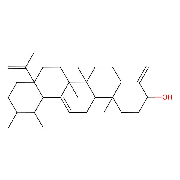2D Structure of (3S,4aR,6aR,6bS,8aS,11R,12S,12aR,14aR,14bR)-6a,6b,11,12,14b-pentamethyl-4-methylidene-8a-prop-1-en-2-yl-2,3,4a,5,6,7,8,9,10,11,12,12a,14,14a-tetradecahydro-1H-picen-3-ol