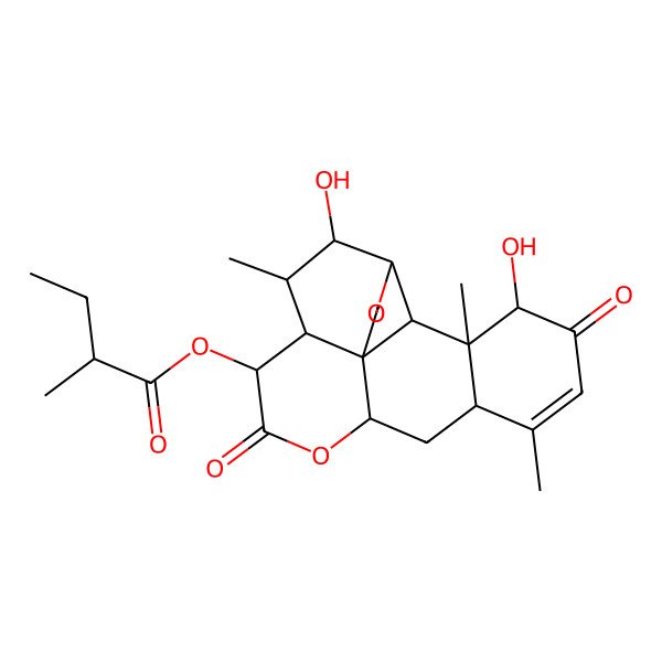 2D Structure of (5,17-Dihydroxy-6,14,18-trimethyl-9,16-dioxo-3,10-dioxapentacyclo[9.8.0.01,7.04,19.013,18]nonadec-14-en-8-yl) 2-methylbutanoate