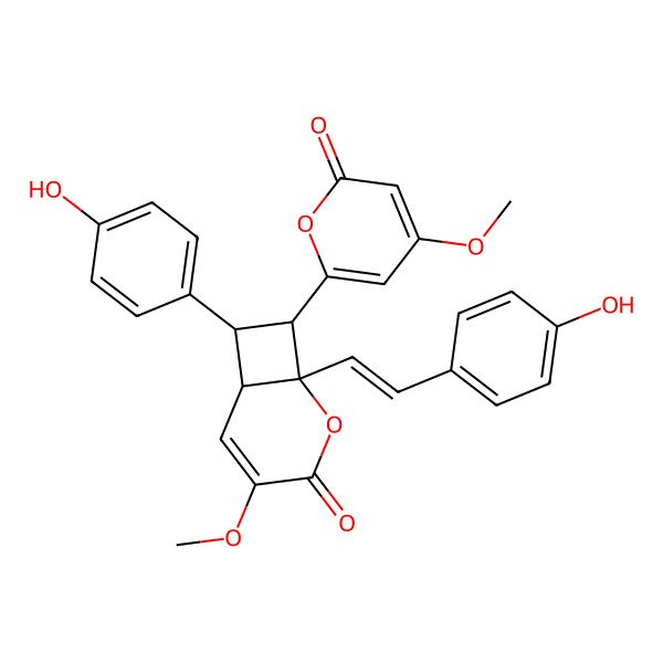 2D Structure of (1R,6S,7S,8S)-7-(4-hydroxyphenyl)-1-[(E)-2-(4-hydroxyphenyl)ethenyl]-4-methoxy-8-(4-methoxy-6-oxopyran-2-yl)-2-oxabicyclo[4.2.0]oct-4-en-3-one