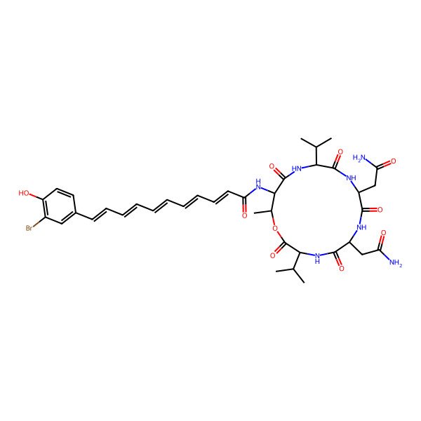 2D Structure of N-[6,9-bis(2-amino-2-oxoethyl)-16-methyl-2,5,8,11,14-pentaoxo-3,12-di(propan-2-yl)-1-oxa-4,7,10,13-tetrazacyclohexadec-15-yl]-11-(3-bromo-4-hydroxyphenyl)undeca-2,4,6,8,10-pentaenamide
