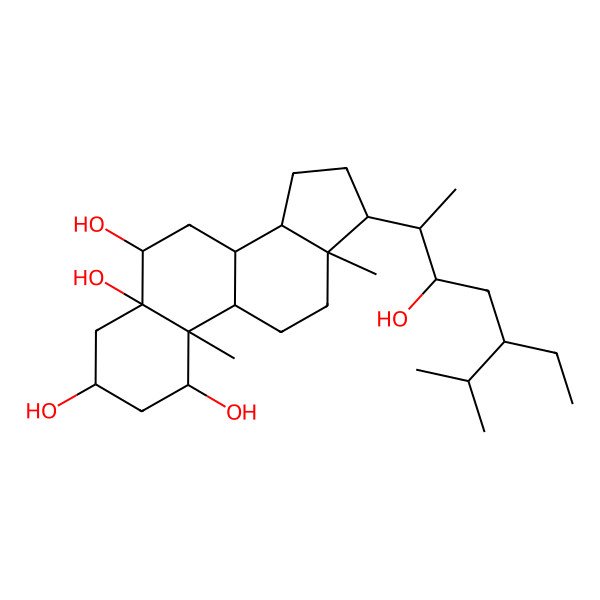 2D Structure of 17-(5-Ethyl-3-hydroxy-6-methylheptan-2-yl)-10,13-dimethyl-1,2,3,4,6,7,8,9,11,12,14,15,16,17-tetradecahydrocyclopenta[a]phenanthrene-1,3,5,6-tetrol