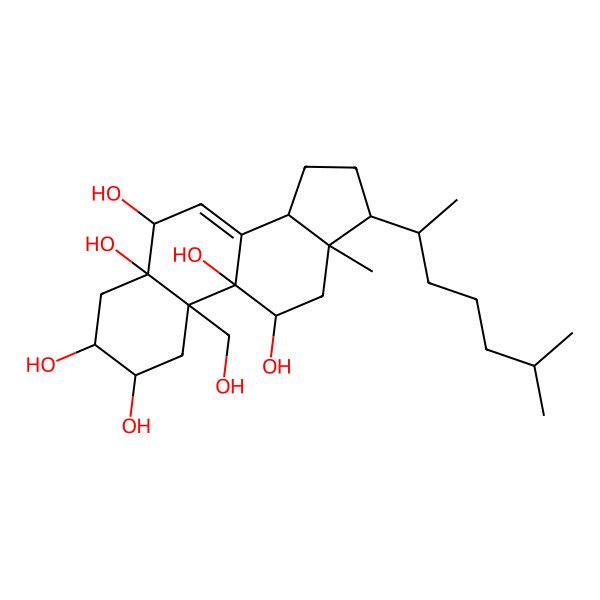 2D Structure of (2R,3R,5R,6R,9R,10R,11R,13R,14R,17R)-10-(hydroxymethyl)-13-methyl-17-[(2R)-6-methylheptan-2-yl]-2,3,4,6,11,12,14,15,16,17-decahydro-1H-cyclopenta[a]phenanthrene-2,3,5,6,9,11-hexol
