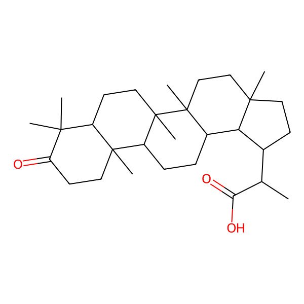 2D Structure of 2-(3a,5a,5b,8,8,11a-hexamethyl-9-oxo-2,3,4,5,6,7,7a,10,11,11b,12,13,13a,13b-tetradecahydro-1H-cyclopenta[a]chrysen-1-yl)propanoic acid