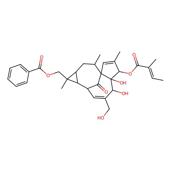2D Structure of [5,6-Dihydroxy-7-(hydroxymethyl)-3,11,14-trimethyl-4-(2-methylbut-2-enoyloxy)-15-oxo-11-tetracyclo[7.5.1.01,5.010,12]pentadeca-2,7-dienyl]methyl benzoate