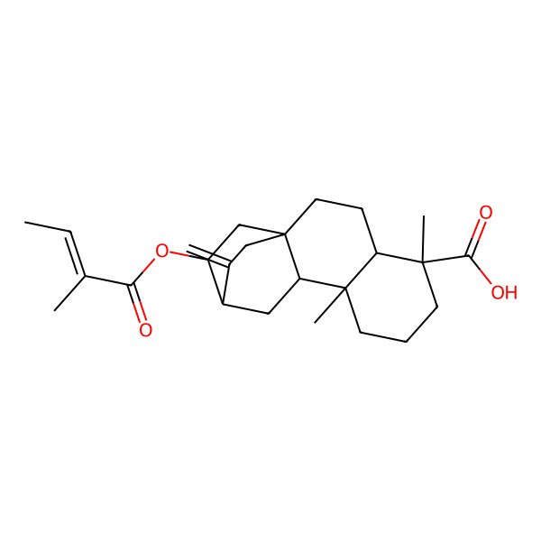 2D Structure of (1R,4S,5R,9S,10R,12S,13S)-5,9-dimethyl-13-[(Z)-2-methylbut-2-enoyl]oxy-16-methylidenetetracyclo[10.2.2.01,10.04,9]hexadecane-5-carboxylic acid
