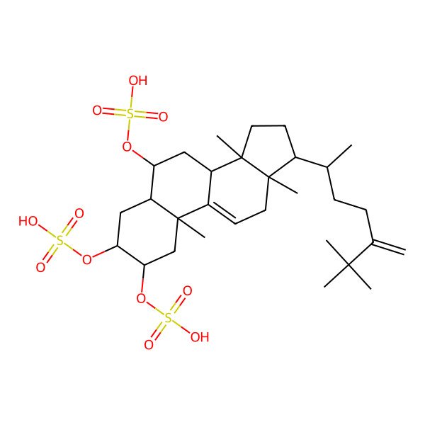 2D Structure of [(2S,3S,5S,6S,8S,10S,13R,14S,17R)-17-[(2R)-6,6-dimethyl-5-methylideneheptan-2-yl]-10,13,14-trimethyl-2,3-disulfooxy-1,2,3,4,5,6,7,8,12,15,16,17-dodecahydrocyclopenta[a]phenanthren-6-yl] hydrogen sulfate