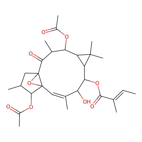 2D Structure of (4,13-Diacetyloxy-9-hydroxy-3,6,6,10,14-pentamethyl-2-oxo-16-oxatetracyclo[10.3.1.01,12.05,7]hexadec-10-en-8-yl) 2-methylbut-2-enoate