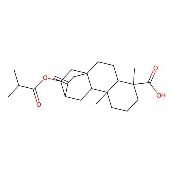 2D Structure of (1R,4S,5R,9S,10R,12S,16R)-5,9-dimethyl-13-methylidene-16-(2-methylpropanoyloxy)tetracyclo[10.2.2.01,10.04,9]hexadecane-5-carboxylic acid