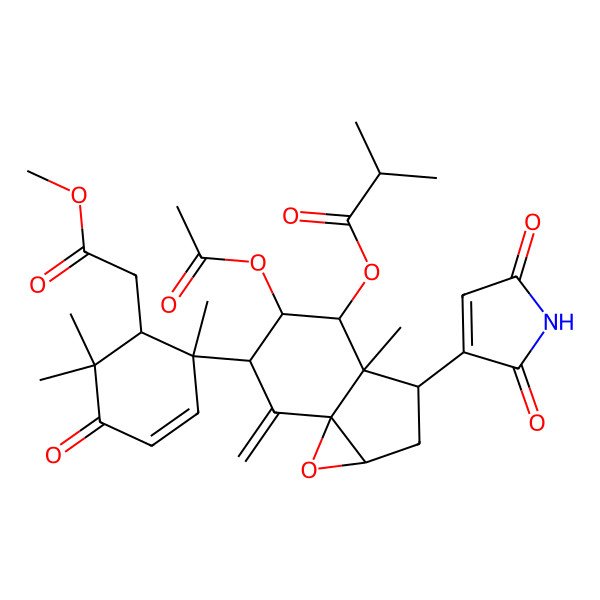 2D Structure of [5-Acetyloxy-3-(2,5-dioxopyrrol-3-yl)-6-[6-(2-methoxy-2-oxoethyl)-1,5,5-trimethyl-4-oxocyclohex-2-en-1-yl]-3a-methyl-7-methylidene-1a,2,3,4,5,6-hexahydroindeno[1,7a-b]oxiren-4-yl] 2-methylpropanoate