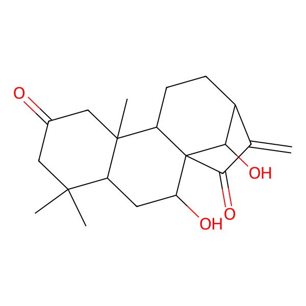2D Structure of (1R,2R,4R,9R,10S,13S,16R)-2,16-dihydroxy-5,5,9-trimethyl-14-methylidenetetracyclo[11.2.1.01,10.04,9]hexadecane-7,15-dione