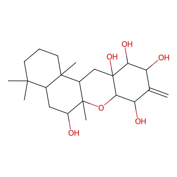 2D Structure of (4aR,6S,6aR,7aS,8S,10R,11S,11aS,12aS,12bR)-4,4,6a,12b-tetramethyl-9-methylidene-1,2,3,4a,5,6,7a,8,10,11,12,12a-dodecahydronaphtho[2,1-b]chromene-6,8,10,11,11a-pentol