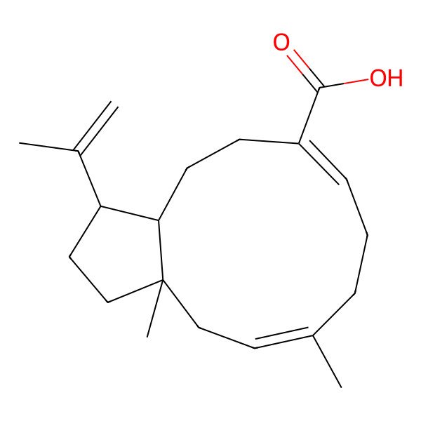 2D Structure of 3a,6-dimethyl-1-prop-1-en-2-yl-2,3,4,7,8,11,12,12a-octahydro-1H-cyclopenta[11]annulene-10-carboxylic acid