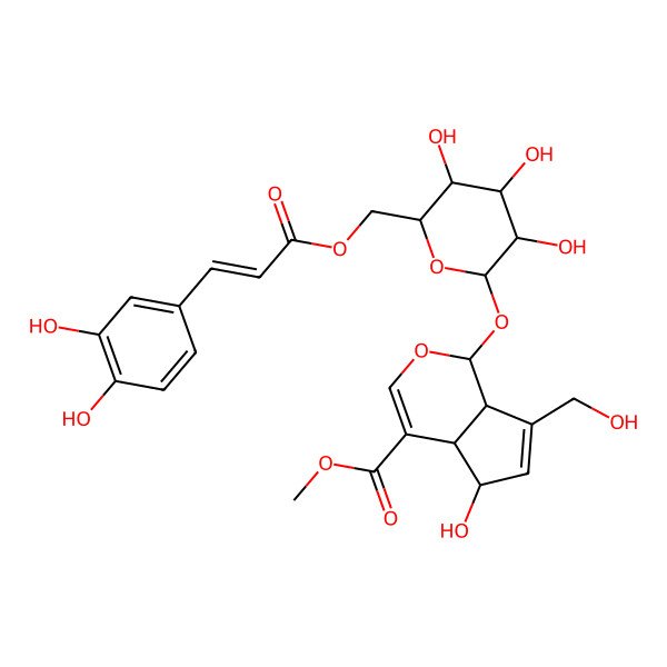 2D Structure of methyl (1S,4aS,5S,7aS)-1-[(2S,3R,4S,5S,6R)-6-[[(E)-3-(3,4-dihydroxyphenyl)prop-2-enoyl]oxymethyl]-3,4,5-trihydroxyoxan-2-yl]oxy-5-hydroxy-7-(hydroxymethyl)-1,4a,5,7a-tetrahydrocyclopenta[c]pyran-4-carboxylate