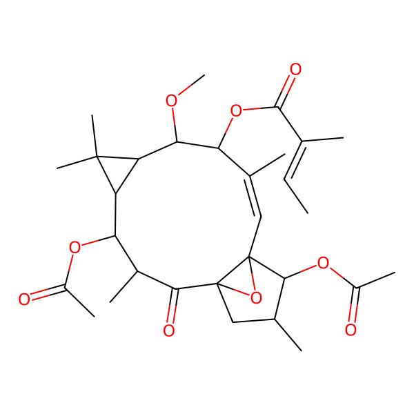 2D Structure of [(1R,3S,4S,5R,7S,8R,9R,10E,12S,13S,14S)-4,13-diacetyloxy-8-methoxy-3,6,6,10,14-pentamethyl-2-oxo-16-oxatetracyclo[10.3.1.01,12.05,7]hexadec-10-en-9-yl] (Z)-2-methylbut-2-enoate