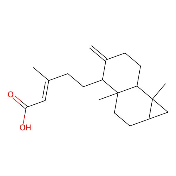 2D Structure of (E)-5-[(1aS,3aR,4S,7aR,7bR)-3a,7b-dimethyl-5-methylidene-1,1a,2,3,4,6,7,7a-octahydrocyclopropa[a]naphthalen-4-yl]-3-methylpent-2-enoic acid