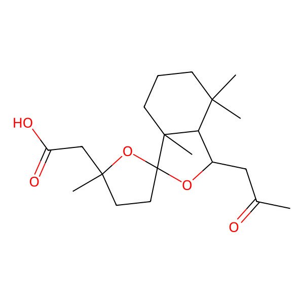 2D Structure of 2-[(1S,2'R,3R,3aR,7aR)-2',3a,7,7-tetramethyl-1-(2-oxopropyl)spiro[4,5,6,7a-tetrahydro-1H-2-benzofuran-3,5'-oxolane]-2'-yl]acetic acid