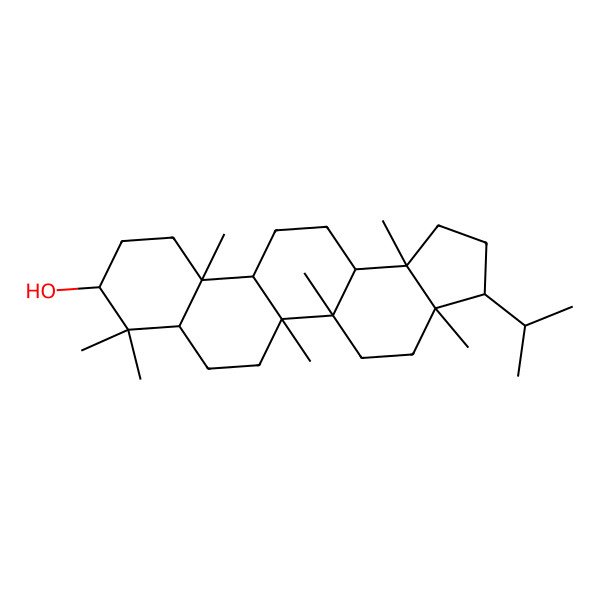 2D Structure of (3R,3aR,5aR,5bR,7aR,9S,11aR,11bR,13aR,13bR)-3a,5a,5b,8,8,11a,13b-heptamethyl-3-propan-2-yl-2,3,4,5,6,7,7a,9,10,11,11b,12,13,13a-tetradecahydro-1H-cyclopenta[a]chrysen-9-ol