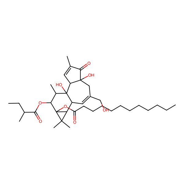 2D Structure of [1,6-Dihydroxy-8-(hydroxymethyl)-4,12,12,15-tetramethyl-14-(2-methylbutanoyloxy)-5-oxo-13-tetracyclo[8.5.0.02,6.011,13]pentadeca-3,8-dienyl] dodecanoate
