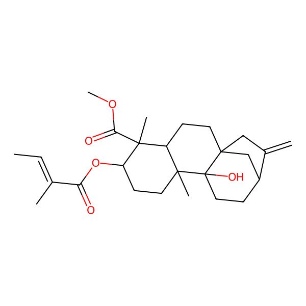 2D Structure of methyl (1S,4S,5S,6R,9R,10S,13R)-10-hydroxy-5,9-dimethyl-6-[(Z)-2-methylbut-2-enoyl]oxy-14-methylidenetetracyclo[11.2.1.01,10.04,9]hexadecane-5-carboxylate