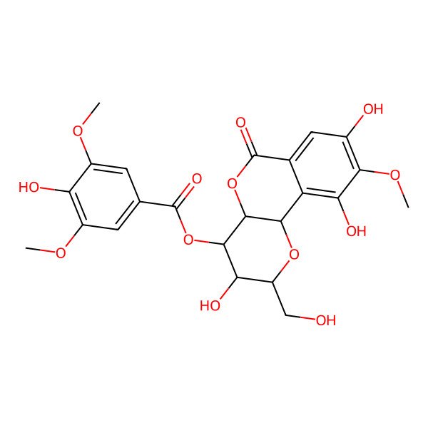 2D Structure of [(2R,3R,4S,4aS,10bS)-3,8,10-trihydroxy-2-(hydroxymethyl)-9-methoxy-6-oxo-3,4,4a,10b-tetrahydro-2H-pyrano[3,2-c]isochromen-4-yl] 4-hydroxy-3,5-dimethoxybenzoate