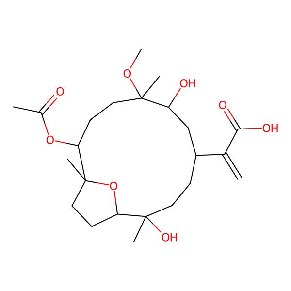 2D Structure of 2-[(1S,2R,5R,7S,8S,11S,12R)-11-acetyloxy-2,7-dihydroxy-8-methoxy-2,8,12-trimethyl-15-oxabicyclo[10.2.1]pentadecan-5-yl]prop-2-enoic acid