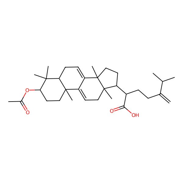 2D Structure of 2-(3-acetyloxy-4,4,10,13,14-pentamethyl-2,3,5,6,12,15,16,17-octahydro-1H-cyclopenta[a]phenanthren-17-yl)-6-methyl-5-methylideneheptanoic acid