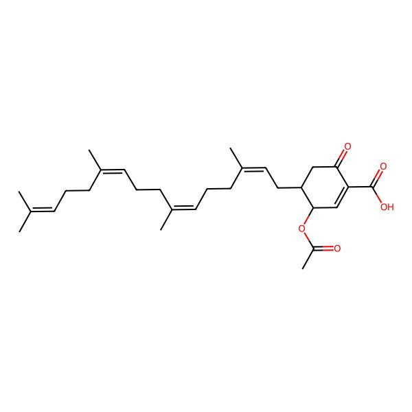 2D Structure of (3R,4R)-3-acetyloxy-6-oxo-4-[(2E,6E,10E)-3,7,11,15-tetramethylhexadeca-2,6,10,14-tetraenyl]cyclohexene-1-carboxylic acid