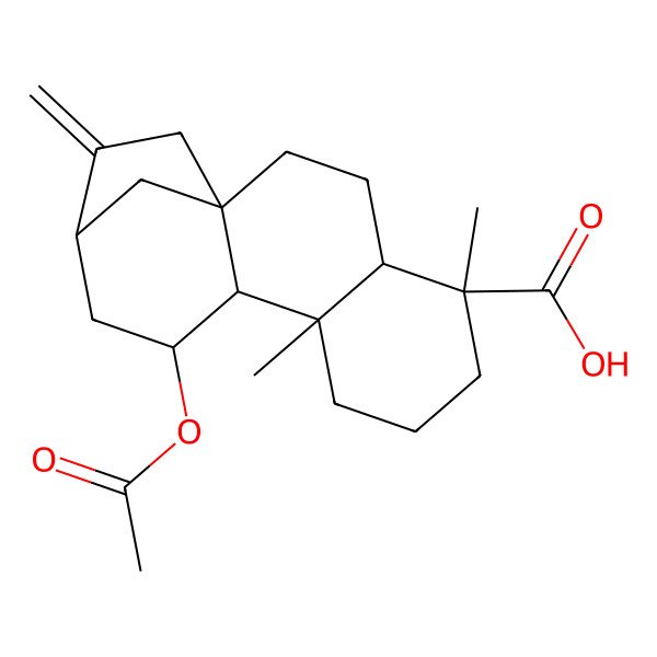 2D Structure of (1S,4S,5S,9R,10R,11S,13S)-11-acetyloxy-5,9-dimethyl-14-methylidenetetracyclo[11.2.1.01,10.04,9]hexadecane-5-carboxylic acid