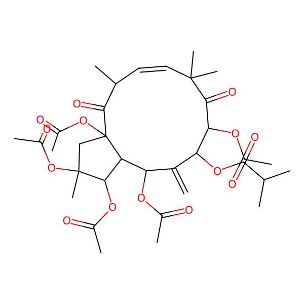 2D Structure of [(1R,2R,3aR,5R,6E,10R,11S,13R,13aS)-1,2,3a,10,13-pentaacetyloxy-2,5,8,8-tetramethyl-12-methylidene-4,9-dioxo-3,5,10,11,13,13a-hexahydro-1H-cyclopenta[12]annulen-11-yl] 2-methylpropanoate