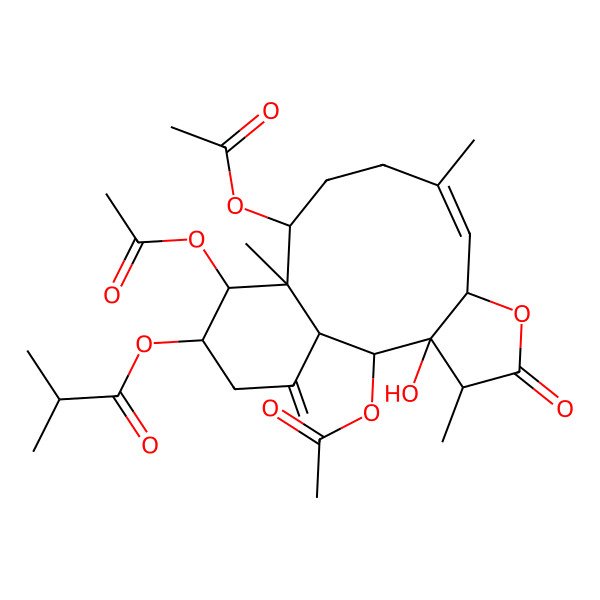 2D Structure of [(1S,2S,3R,4R,7S,8Z,12S,13S,14R,15S)-2,12,14-triacetyloxy-3-hydroxy-4,9,13-trimethyl-17-methylidene-5-oxo-6-oxatricyclo[11.4.0.03,7]heptadec-8-en-15-yl] 2-methylpropanoate