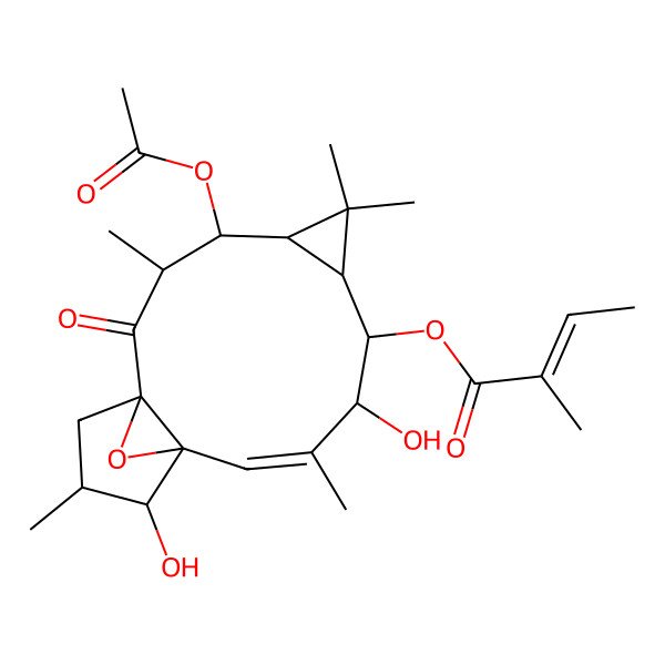 2D Structure of (4-Acetyloxy-9,13-dihydroxy-3,6,6,10,14-pentamethyl-2-oxo-16-oxatetracyclo[10.3.1.01,12.05,7]hexadec-10-en-8-yl) 2-methylbut-2-enoate