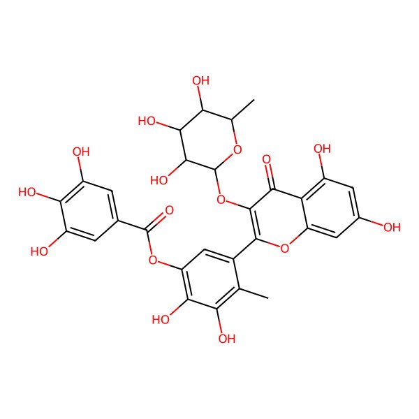 2D Structure of [5-[5,7-dihydroxy-4-oxo-3-[(2S,3S,4R,5R,6S)-3,4,5-trihydroxy-6-methyloxan-2-yl]oxychromen-2-yl]-2,3-dihydroxy-4-methylphenyl] 3,4,5-trihydroxybenzoate