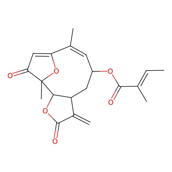 2D Structure of [(1S,2R,6R,8R,9Z)-1,10-dimethyl-5-methylidene-4,13-dioxo-3,14-dioxatricyclo[9.2.1.02,6]tetradeca-9,11-dien-8-yl] (Z)-2-methylbut-2-enoate