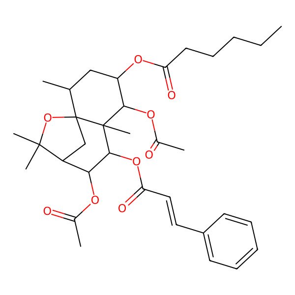 2D Structure of [5,8-Diacetyloxy-2,6,10,10-tetramethyl-7-(3-phenylprop-2-enoyloxy)-11-oxatricyclo[7.2.1.01,6]dodecan-4-yl] hexanoate