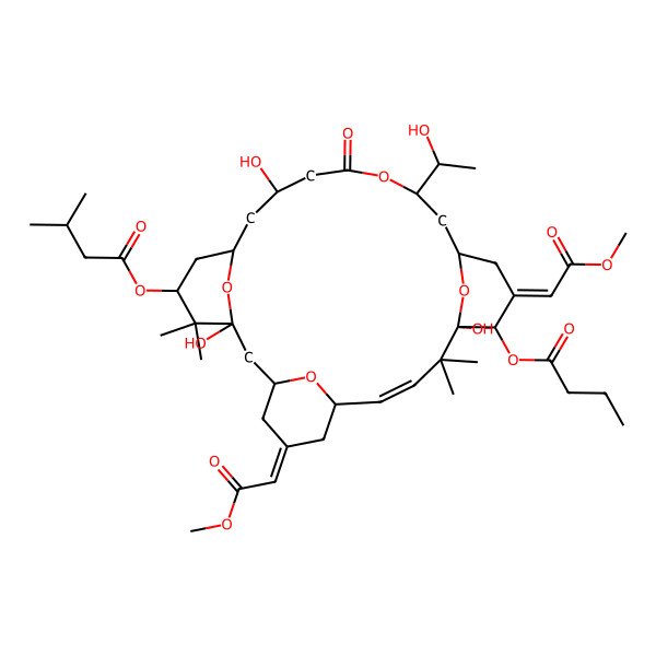 2D Structure of [(1S,3S,5Z,7R,8E,11S,12S,13E,15R,17R,21R,23R,25S)-12-butanoyloxy-1,11,21-trihydroxy-17-[(1R)-1-hydroxyethyl]-5,13-bis(2-methoxy-2-oxoethylidene)-10,10,26,26-tetramethyl-19-oxo-18,27,28,29-tetraoxatetracyclo[21.3.1.13,7.111,15]nonacos-8-en-25-yl] 3-methylbutanoate