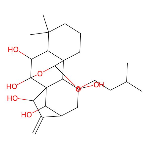 2D Structure of 12,12-Dimethyl-16-(3-methylbutoxy)-6-methylidene-17-oxapentacyclo[7.6.2.15,8.01,11.02,8]octadecane-3,7,9,10,18-pentol