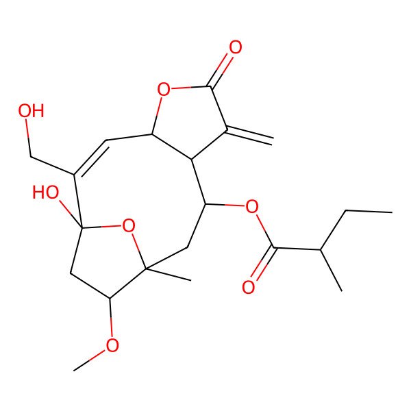 2D Structure of [(1S,2Z,4S,8R,9R,11S,12R)-1-hydroxy-2-(hydroxymethyl)-12-methoxy-11-methyl-7-methylidene-6-oxo-5,14-dioxatricyclo[9.2.1.04,8]tetradec-2-en-9-yl] (2R)-2-methylbutanoate