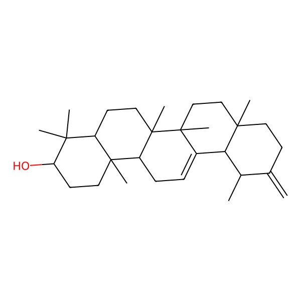 2D Structure of (3S,4aR,6aR,6bS,8aR,12R,12aS,14aR,14bR)-4,4,6a,6b,8a,12,14b-heptamethyl-11-methylidene-1,2,3,4a,5,6,7,8,9,10,12,12a,14,14a-tetradecahydropicen-3-ol
