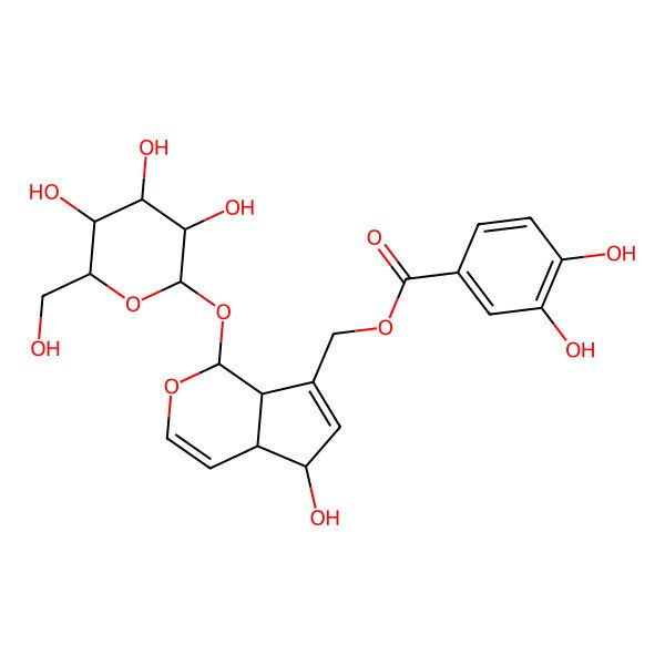 2D Structure of [5-Hydroxy-1-[3,4,5-trihydroxy-6-(hydroxymethyl)oxan-2-yl]oxy-1,4a,5,7a-tetrahydrocyclopenta[c]pyran-7-yl]methyl 3,4-dihydroxybenzoate