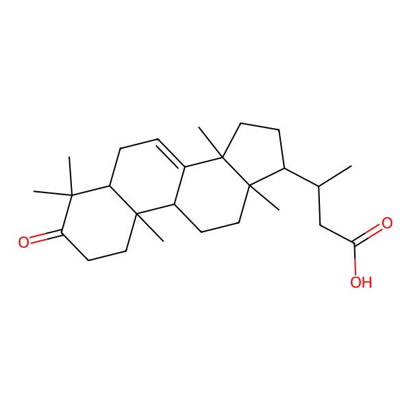2D Structure of (3S)-3-[(5R,9R,10R,13S,14S,17S)-4,4,10,13,14-pentamethyl-3-oxo-1,2,5,6,9,11,12,15,16,17-decahydrocyclopenta[a]phenanthren-17-yl]butanoic acid