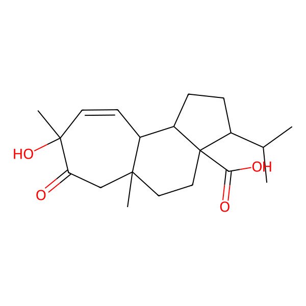2D Structure of (3R,3aS,5aS,8S,10aS,10bS)-8-hydroxy-5a,8-dimethyl-7-oxo-3-propan-2-yl-1,2,3,4,5,6,10a,10b-octahydrocyclohepta[g]indene-3a-carboxylic acid