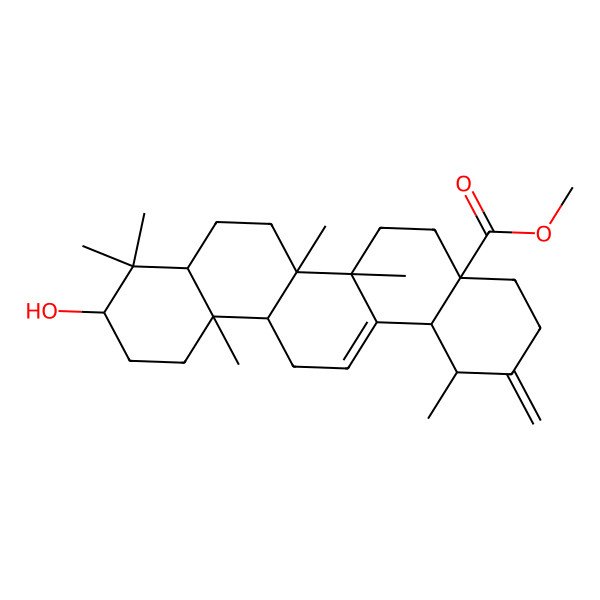 2D Structure of methyl (1R,4aS,6aR,6aS,6bR,8aR,10S,12aR,14bS)-10-hydroxy-1,6a,6b,9,9,12a-hexamethyl-2-methylidene-1,3,4,5,6,6a,7,8,8a,10,11,12,13,14b-tetradecahydropicene-4a-carboxylate