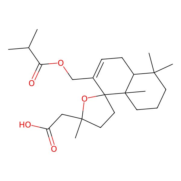 2D Structure of 2-[(2'S,4aS,8S,8aS)-2',4,4,8a-tetramethyl-7-(2-methylpropanoyloxymethyl)spiro[2,3,4a,5-tetrahydro-1H-naphthalene-8,5'-oxolane]-2'-yl]acetic acid
