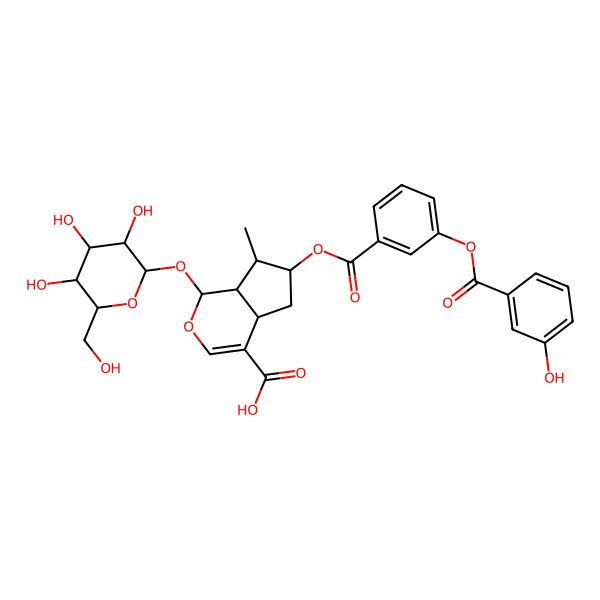 2D Structure of 6-[3-(3-Hydroxybenzoyl)oxybenzoyl]oxy-7-methyl-1-[3,4,5-trihydroxy-6-(hydroxymethyl)oxan-2-yl]oxy-1,4a,5,6,7,7a-hexahydrocyclopenta[c]pyran-4-carboxylic acid
