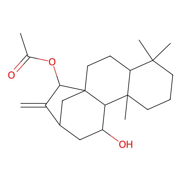 2D Structure of [(1R,4S,9R,10S,11R,13S,15R)-11-hydroxy-5,5,9-trimethyl-14-methylidene-15-tetracyclo[11.2.1.01,10.04,9]hexadecanyl] acetate