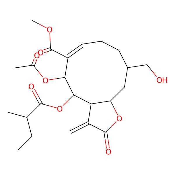 2D Structure of methyl (3aS,4S,5S,6E,10S,11aR)-5-acetyloxy-10-(hydroxymethyl)-4-[(2R)-2-methylbutanoyl]oxy-3-methylidene-2-oxo-3a,4,5,8,9,10,11,11a-octahydrocyclodeca[b]furan-6-carboxylate