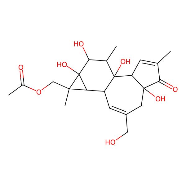 2D Structure of [1,6,13,14-Tetrahydroxy-8-(hydroxymethyl)-4,12,15-trimethyl-5-oxo-12-tetracyclo[8.5.0.02,6.011,13]pentadeca-3,8-dienyl]methyl acetate
