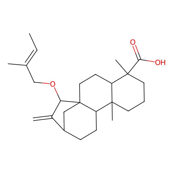 2D Structure of (1S,4R,5R,9R,10R,13S,15R)-5,9-dimethyl-15-[(Z)-2-methylbut-2-enoxy]-14-methylidenetetracyclo[11.2.1.01,10.04,9]hexadecane-5-carboxylic acid
