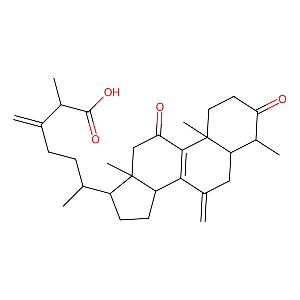 2D Structure of 2-Methyl-3-methylene-6-(4,10,13-trimethyl-7-methylene-3,11-dioxo-1,2,4,5,6,12,14,15,16,17-decahydrocyclopenta[a]phenanthren-17-yl)heptanoic acid